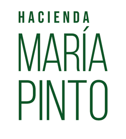 https://www.portalterreno.com/imagenes/logo_proyectos/2307024554_Vertical_Hacienda_MP_(1).png