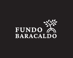 https://www.portalterreno.com/imagenes/logo_proyectos/2307121901_Baracaldo_(1).png