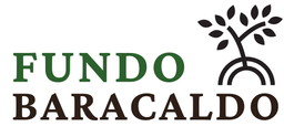 https://www.portalterreno.com/imagenes/logo_proyectos/2810053153_Logo_Principal_Fundo_Baracaldo.png